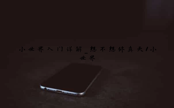 小世界入门详解_想不想修真天1小世界